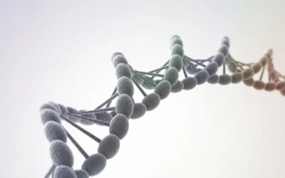 Know your company’s DNA